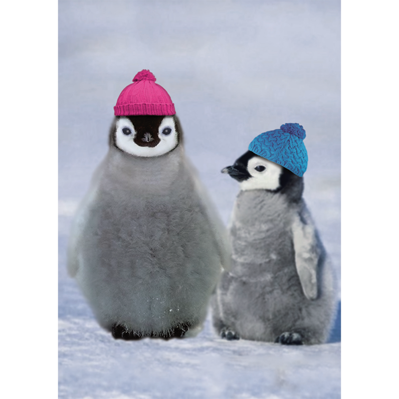 baby penguins donate for christmas gifts