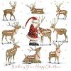 Santa feeding the reindeer - 10 cards