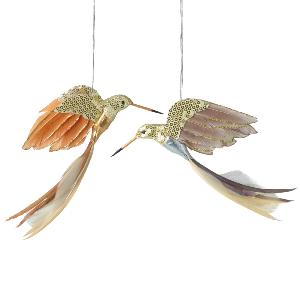Hanging hummingbird