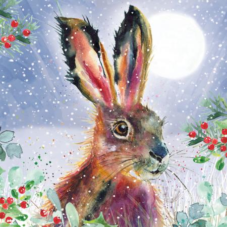 Fluffy hare - 10 cards