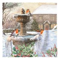 Robins on the fountain - Pack of 10 cards