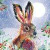 Fluffy hare - 10 cards