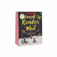 Delivered by reindeer mail' large gift bag