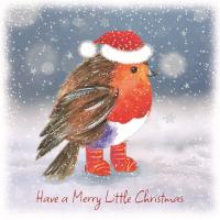 Robin in wellies - Pack of 10 cards