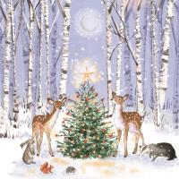 Small tree in the woods - Pack of 10 cards