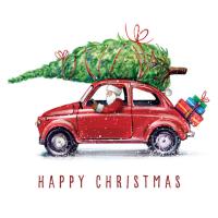 Driving home for Christmas - Pack of 10 cards